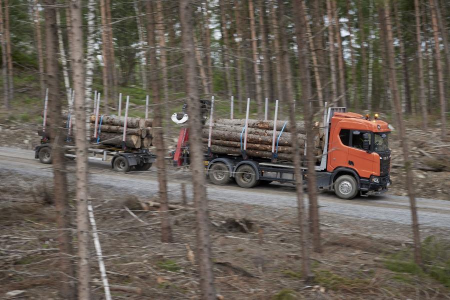  Scania R 580 XT 6x4 Highline Timber Truck 2017 года  (фото 7 из 8)